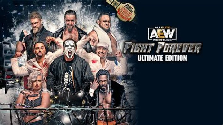 AEW Fight Forever Update 1.09 Patch Notes: Released with Improvements - SarkariResult