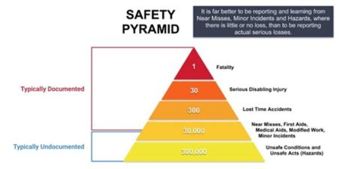 Burning Man: Understanding the Fatality Count and Safety Measures in 2023 - SarkariResult