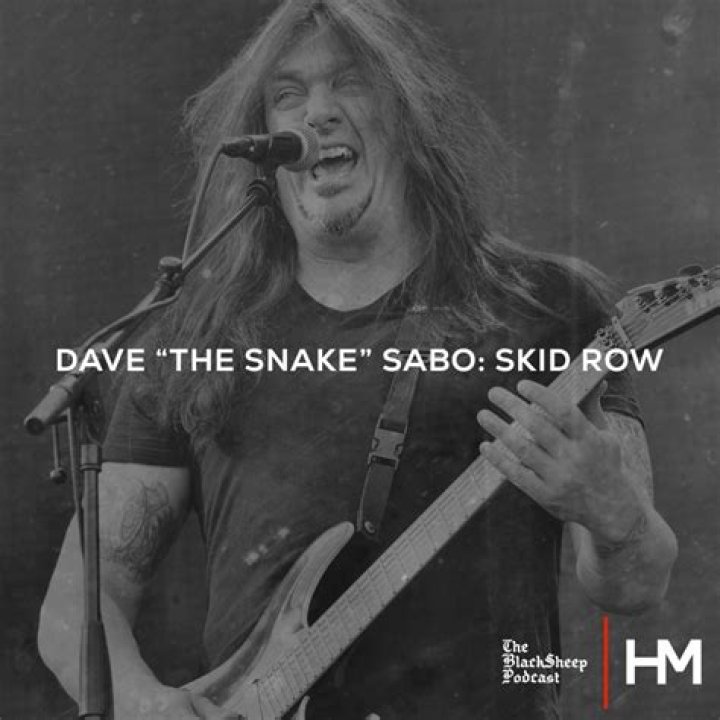 Dave ‘The Snake’ Sabo Net Worth