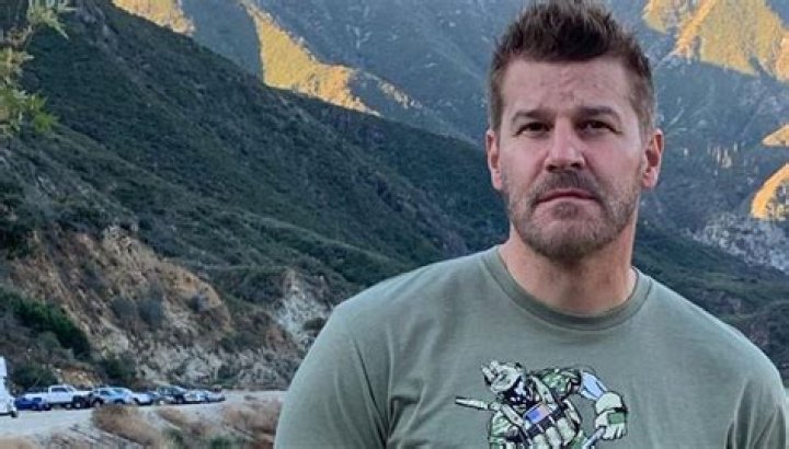 David Boreanaz Height, Weight, Body Measurements, Shoe Size