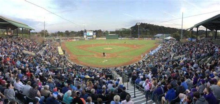 David Bote Bio, Wiki, Age, Family, Wife, MLB Draft, Myrtle Beach Pelicans and Net Worth