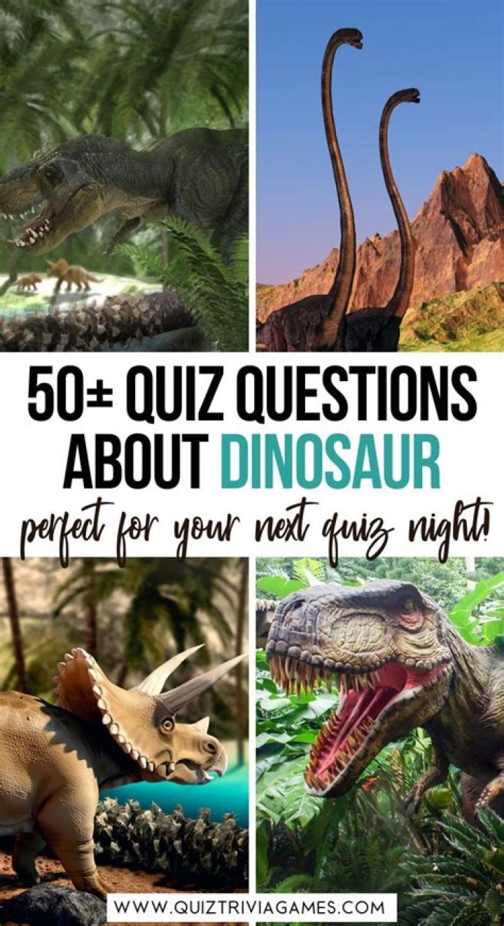 Dino Quizon Net Worth