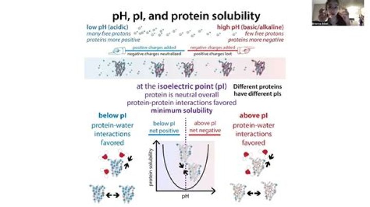 Does whey protein make you break out