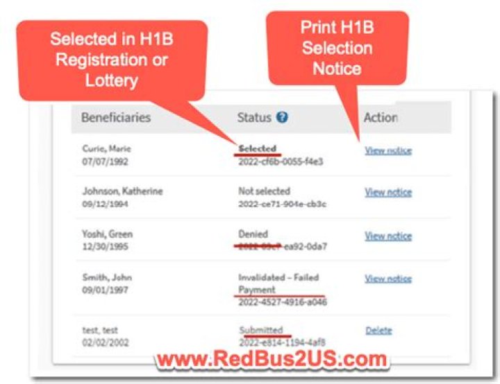 H1B Visa Lottery 2024: Registration Rounds, Status, Documentation, and Results - SarkariResult