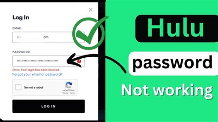 How to Fix / Solve Hulu Password Reset Not Working - SarkariResult