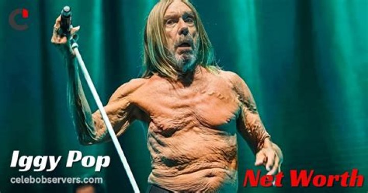 Iggy Pop Net Worth
