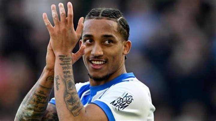 Joao Pedro Araujo Correia Net Worth Career, Family, Age, Income, Wiki, Bio, All You Need to Know - SarkariResult