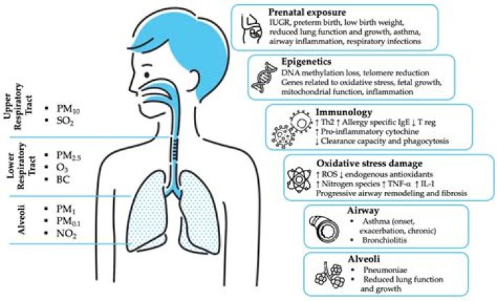 Michelle Ryan's Health: Exploring Michelle Ryan's Current Health Condition and Illness Details - SarkariResult
