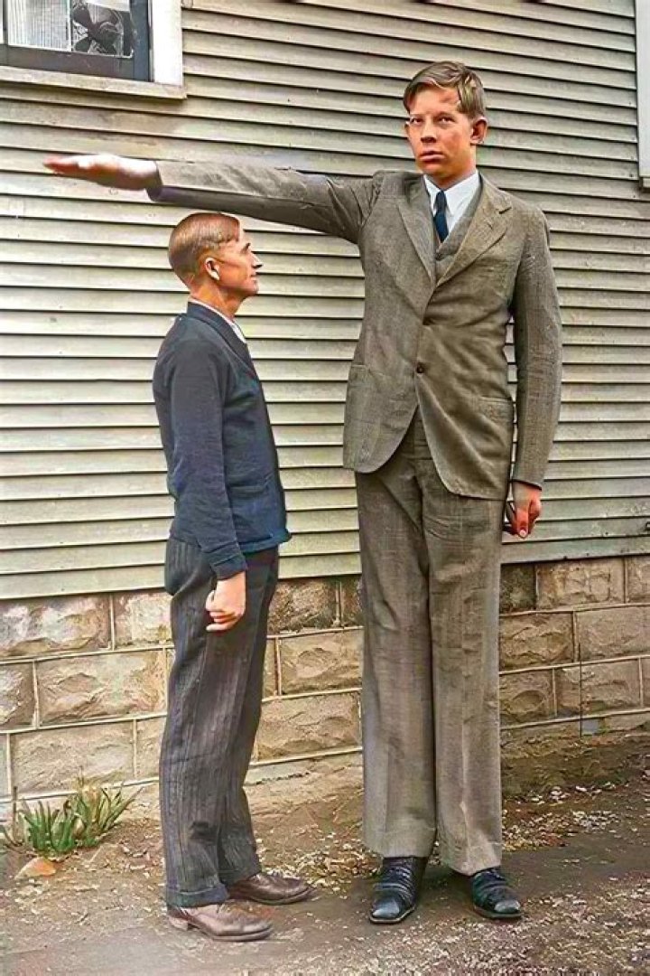 Robert Wadlow Net Worth