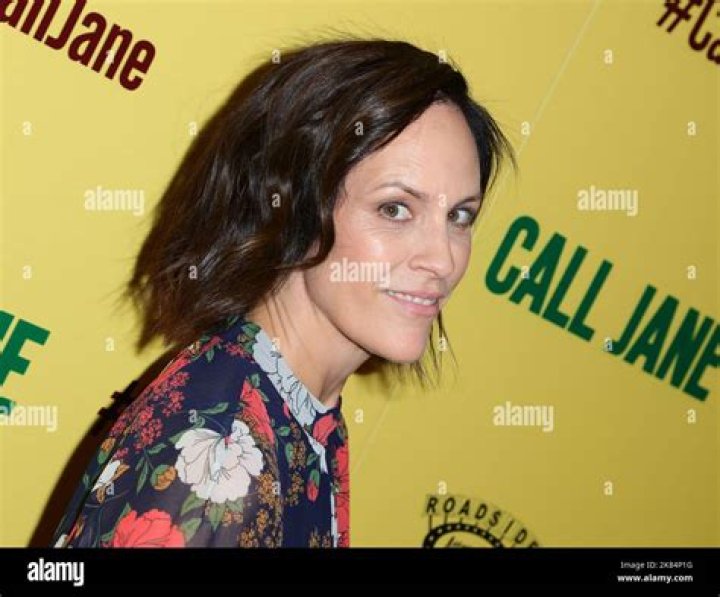 Shane Haboucha Net Worth