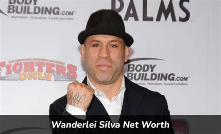 Wanderlei Silva Net Worth