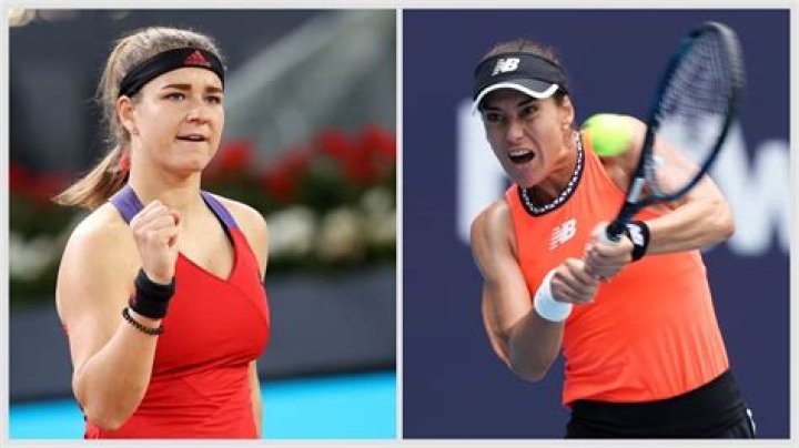 Who Is Sorana Cirstea Husband? Is She Married? Everything To Know